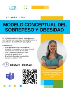 Modelo Conceptual Del Sobrepeso Y Obecidad